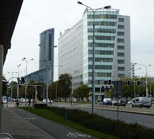 Der Sky-Tower im Hintergrund