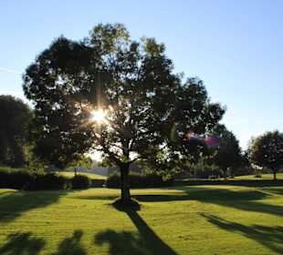 Sonnenuntergang auf dem Golfplatz 