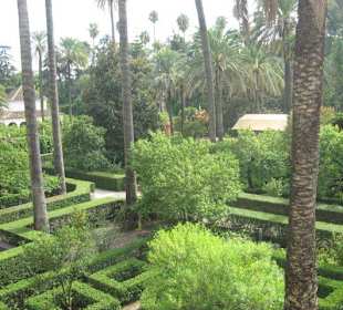 Jardín de Alcázar de Sevilla