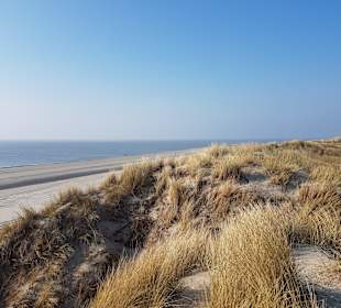 Strand Hollum/Ameland