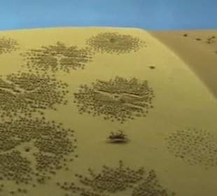 Naturhistorisches Museum