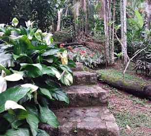 Cachoeira da Pedra Branca