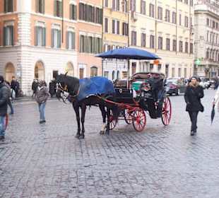 La tipica carrozzella x turisti