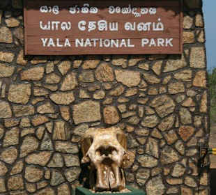 Eingang des Yala Nationalpark