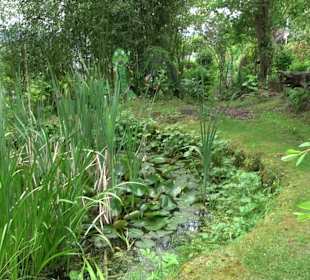 Mezger's Bürgle Park