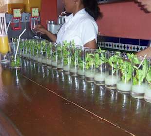 Mmh lecker - Mojito!