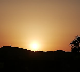 Wüstentour Sternensafari Safaga