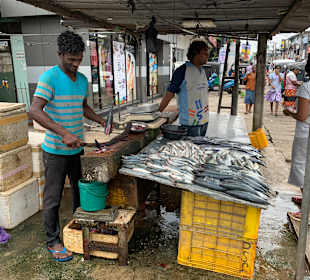 Markt Balapitiya