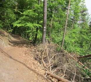 Auf dem Weg zum Hilschweiher