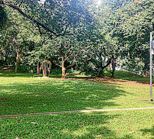 Fort Canning Park
