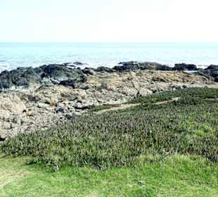 Stadtrundgang Punta del Este