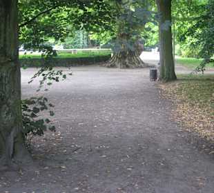 Park przy Pałacu w Nieborowie