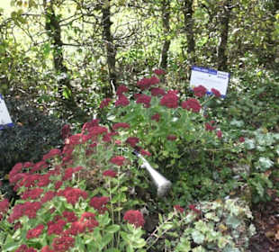 Kneipp`scher Sinnesgarten