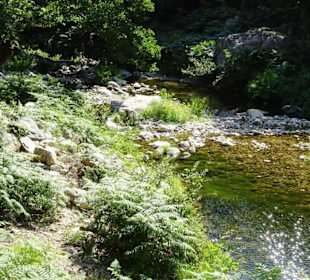 Impressionen von einer Wanderung an der Massane