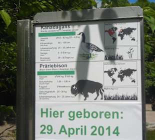 Tierpark Hagenbeck