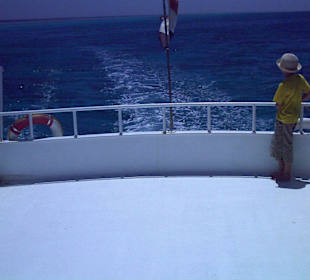 Deep Blue Divers  Barrakuda - nacktes Achterdeck