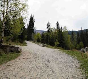Berg Schneekoppe/Śnieżka