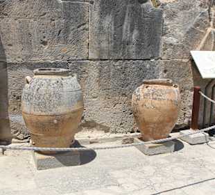 Фест. Дворец.