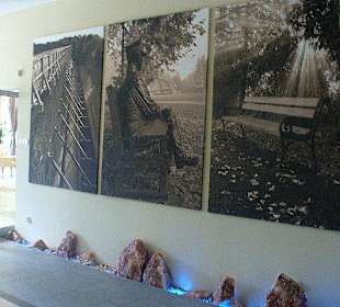 Pijalnia Wód - Palmiarnia