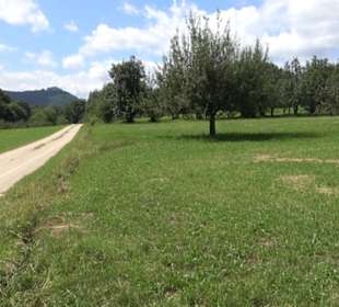 Hochgehnießen - Premiumspazierwanderweg