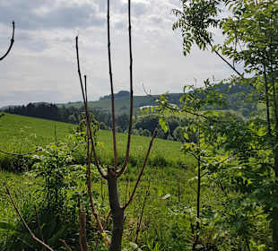 Wandern Diemelsee