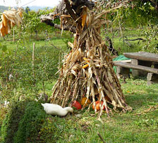 Weinbauernhof Hlebec
