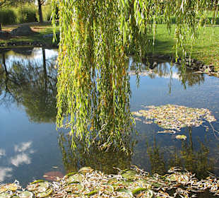 Chin.Garten
