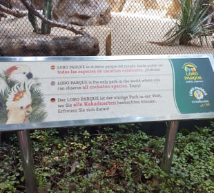 Loro Parque