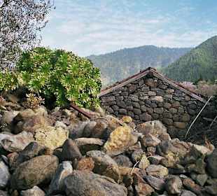 Wie vor hundert Jahren