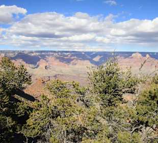 Grand Canyon N.P.
