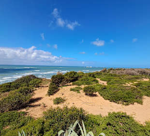 Periurbano de La Barrosa Park