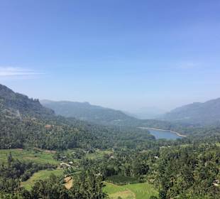 Tea Highland