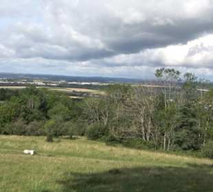 Grillstelle Zollerhalde Zimmern