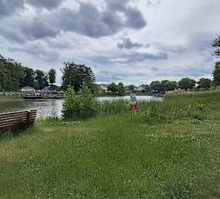 Seewoog in Ramstein-Miesenbach