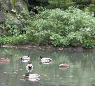 Tierpark 