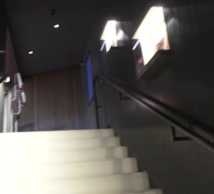 FIFA World Football Museum