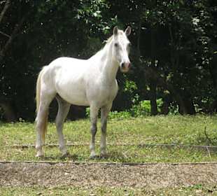 So, seh ich net gut aus?