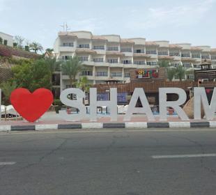 Stadtrundgang Sharm el Sheikh/Na'ama Bay