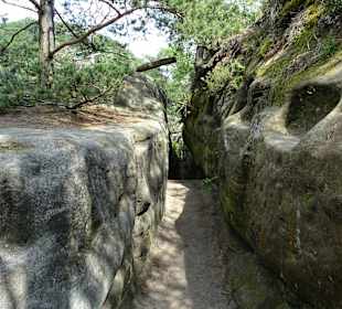 Wandern Bad Schandau