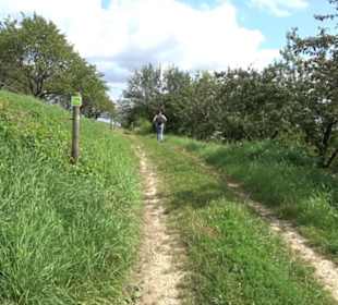 Hochgehnießen - Premiumspazierwanderweg