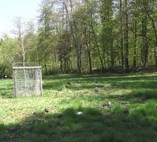 Wanderweg Hochgehwachsen