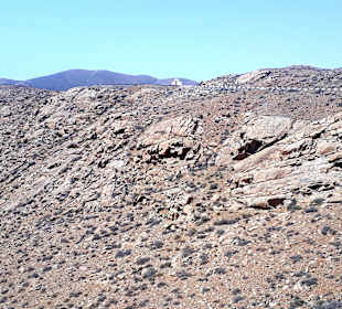 Tagesausflug Inselrundfahrt