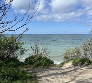 Strand Diedrichshagen