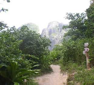 Maya Bay Koh Phi Phi