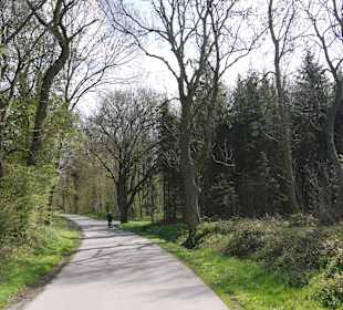 Radweg nach Maasholm