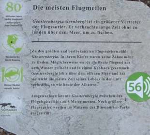 Dinosaurier Museum Altmühltal