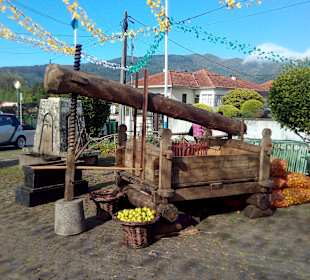 Wandern Santo da Serra