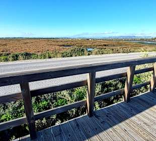 Der Weg ist das Ziel