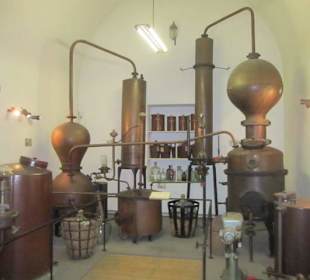 Stadt und Festungsmuseum Germersheim