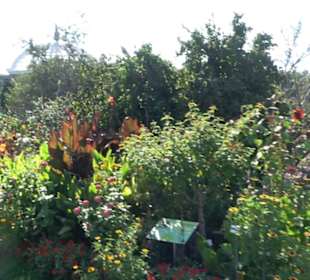 Botanischer Garten München